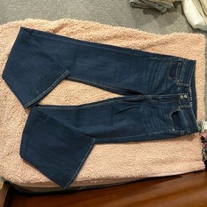 American Eagle Outfitters Hi-rise Artist Flare